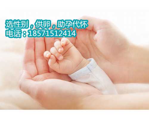 <b>青岛私人医院供精供卵,育儿假是一次性使用</b>