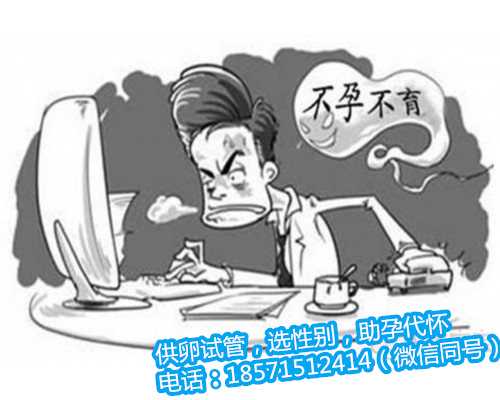 <b>上海代孕中心成功率是如何维护和保护您的私人信息的</b>