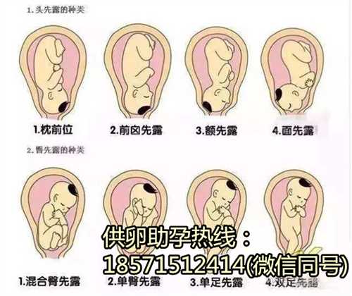 郑州正规供卵试管网站在哪,让不孕不育夫妻感受