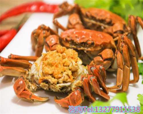 上海代孕哪里最安全让我们家庭的未来充满生机和活力