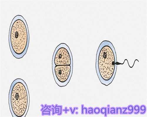 青岛有正规的助孕机构吗,2026年在合肥做试管婴儿需要多少钱