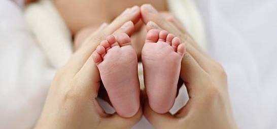 马来西亚生丰医院供卵