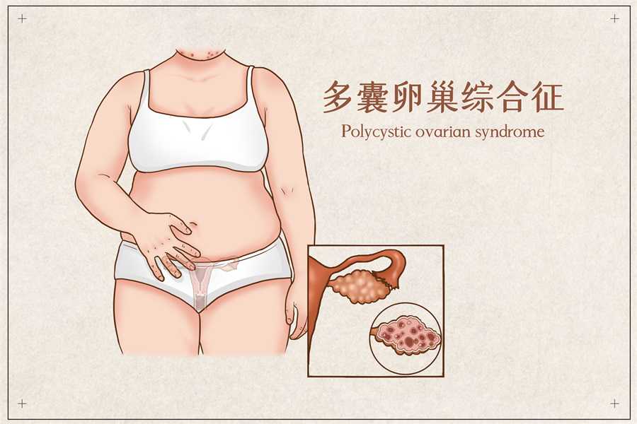 福州哪里有正规供卵的,为不孕不育夫妻提供最好的生育选择