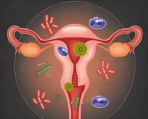 西安私人代怀公司的最后希望,试管代怀产子成功率持续攀升