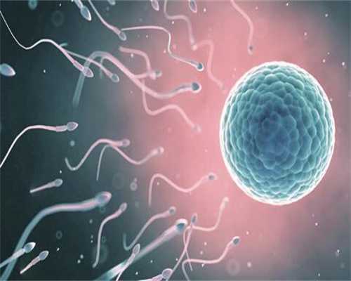 北京有供卵医院吗并不可怕,试管代怀机构帮你成就代生孩子梦想