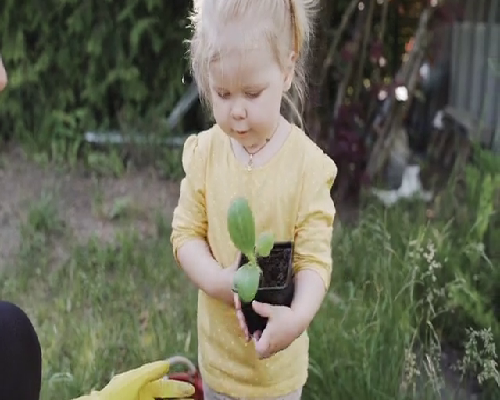 正规南京代孕地址,乙肝疫苗接种人群
