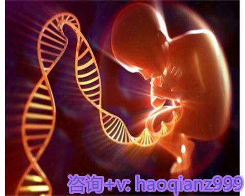 贵州代怀正规公司，让幸福不再遥远！