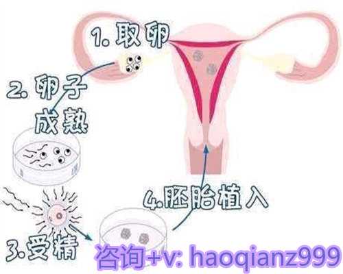 哈尔滨正规医院供卵花费,为你打造一个充满爱和美好的家庭