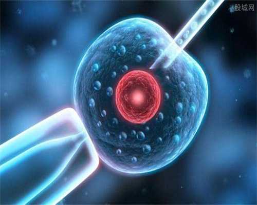 无锡有私人供卵医院吗-生育困境中的生机与希望